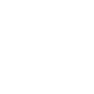 globe-icon